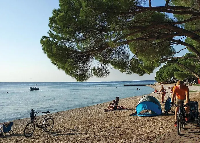 Apartment Cozy In With Wifi *